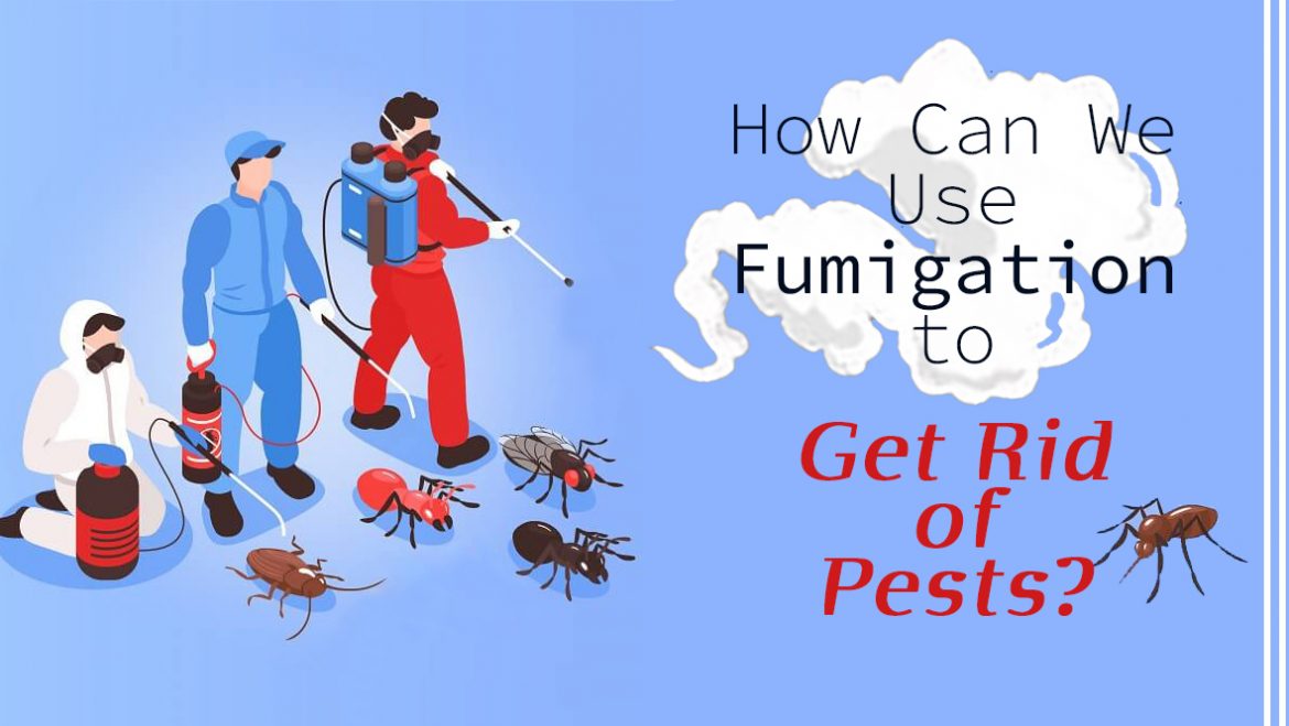 How Can We Use Fumigation to Get Rid of Pests?