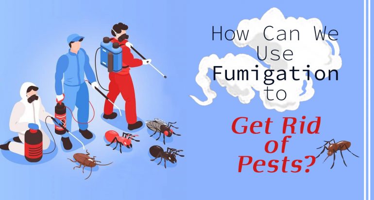 How Can We Use Fumigation to Get Rid of Pests?