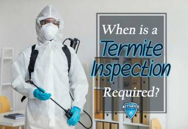 When is a Termite Inspection Required?