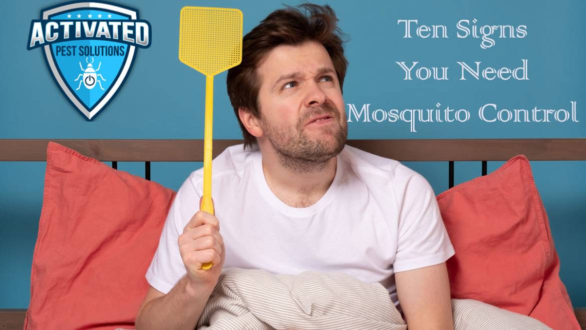Professional Mosquito Control Services: 10 Signs You Need Them