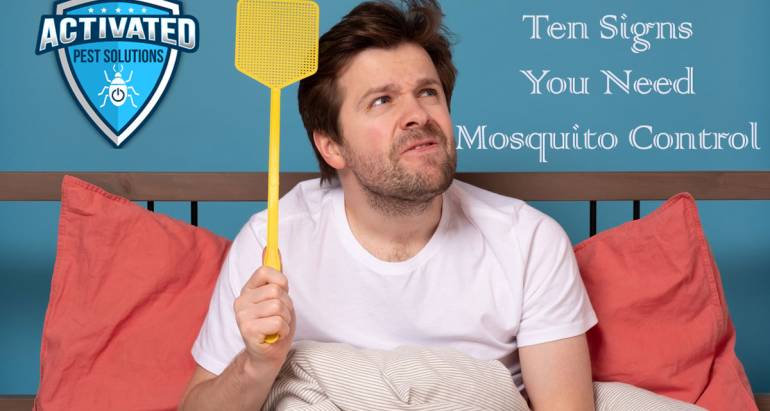 Professional Mosquito Control Services: 10 Signs You Need Them