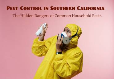 Pest Control in Southern California: The Hidden Dangers of Common Household Pests