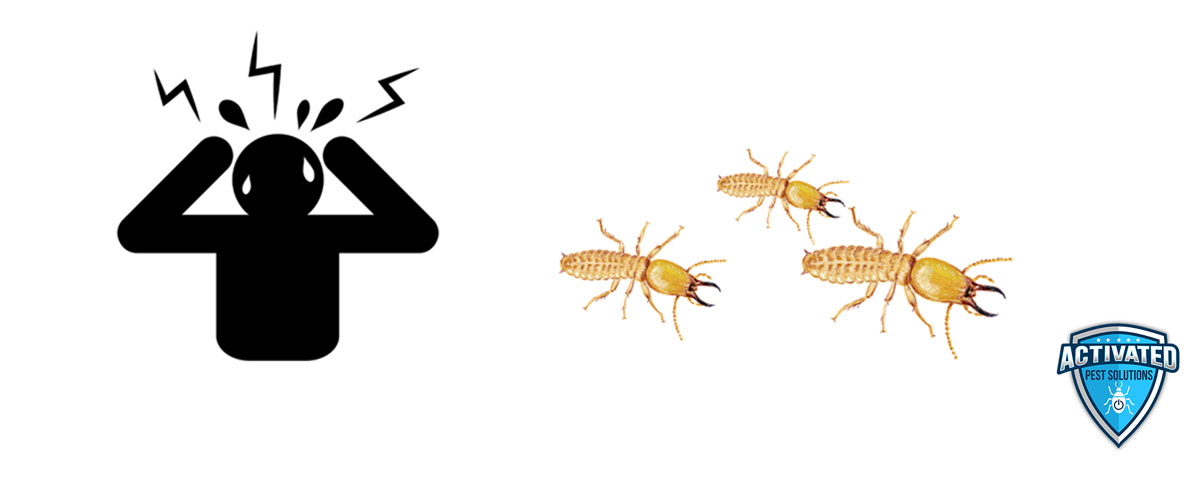 Termite Control in Menifee