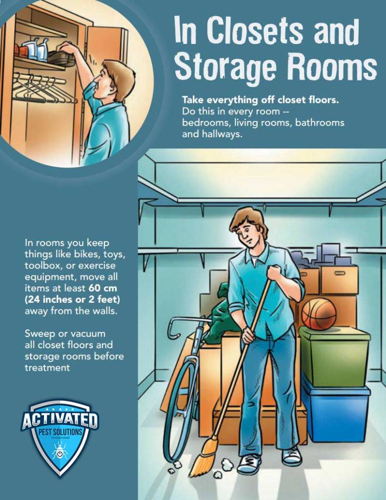 bed bug treatment in storage room