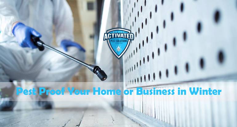 Pest Proof Your Home or Business This Winter